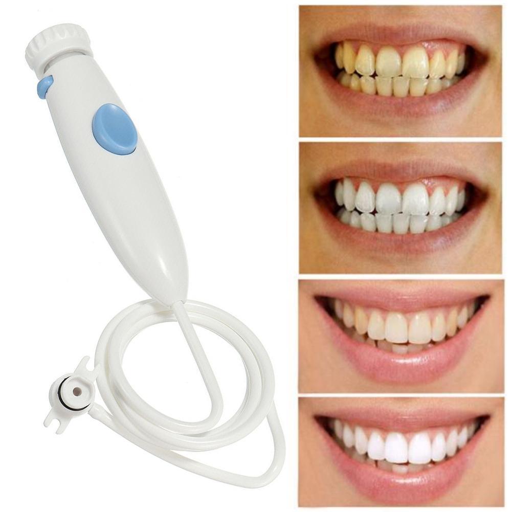 Water Flosser Waterpik WP-100  - Home Bathroom Cleaning Machine 리뷰 및 가격